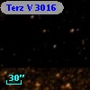 Terz V 3016