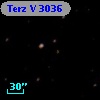 Terz V 3036