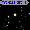 TYC 4231-257-1