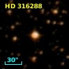 HD 316288