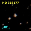 HD 316177