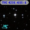 TYC 4231-615-1