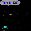 Terz N  125