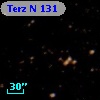 Terz N  131