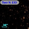 Terz N  133
