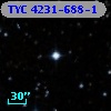 TYC 4231-688-1