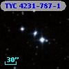TYC 4231-787-1