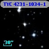 TYC 4231-1034-1