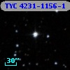 TYC 4231-1156-1