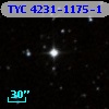 TYC 4231-1175-1