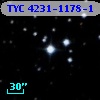 TYC 4231-1178-1