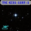 TYC 4231-1197-1