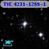 TYC 4231-1288-1