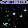 TYC 4231-1289-1