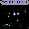 TYC 4231-1317-1