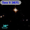 Terz V 3075