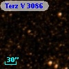 Terz V 3086