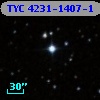 TYC 4231-1407-1