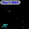 Terz V 3089