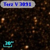 Terz V 3091