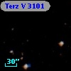 Terz V 3101