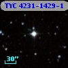 TYC 4231-1429-1