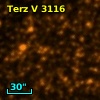 Terz V 3116