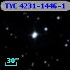 TYC 4231-1446-1