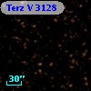 Terz V 3128