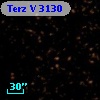 Terz V 3130
