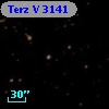 Terz V 3141