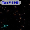 Terz V 3143