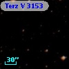 Terz V 3153