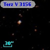 Terz V 3156