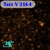 Terz V 3164