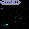 Terz V 3172