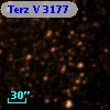 Terz V 3177