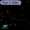 Terz V 3182