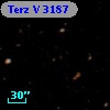 Terz V 3187