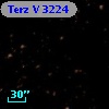 Terz V 3224