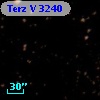 Terz V 3240