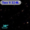 Terz V 3246