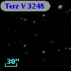 Terz V 3248