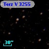 Terz V 3255