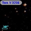 Terz V 3256