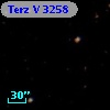 Terz V 3258