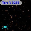 Terz V 3293