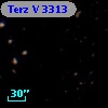 Terz V 3313