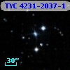 TYC 4231-2037-1