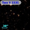 Terz V 3335